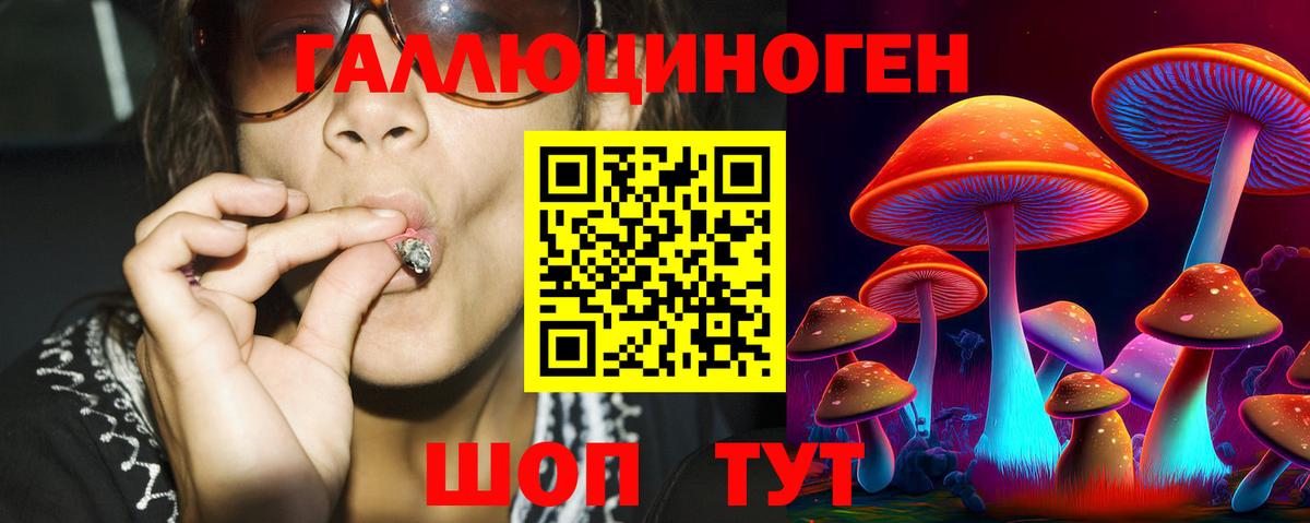 Галлюциногенные грибы Cubensis  Вход с VPN  Галлюциногенные грибы Psilocybine cubensis  Сергиев Посад 