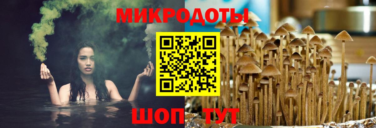 Псилоцибиновые грибы MAGIC MUSHROOMS Сергиев Посад